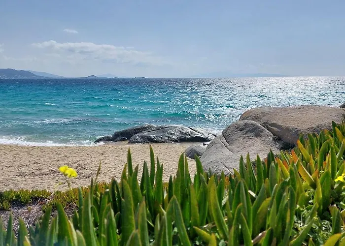 Sea U Soon Seafront Daire Stelida (Naxos)