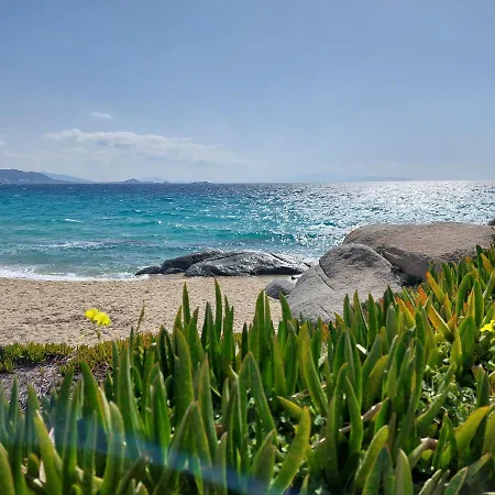 Sea U Soon Seafront Lägenhet Stelida (Naxos)